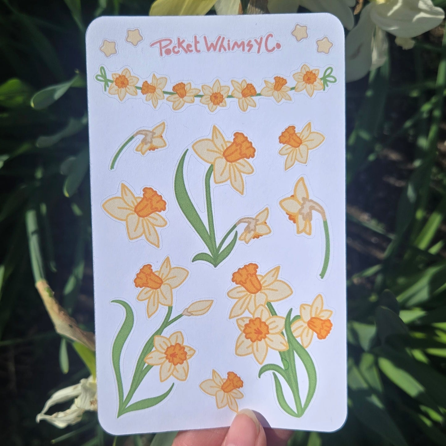 Daffodil Sticker Sheet